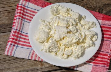 cottage cheese in a white plate on the table. natural farm products concept