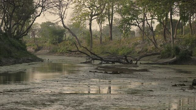 Landscape of Valmiki Tiger Reserve with River Gandak, Champaran, Bihar, India