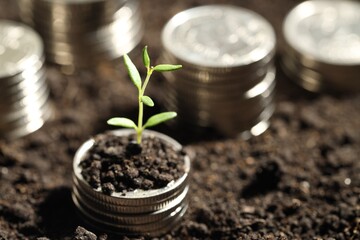 Money growth concept. Coins with young sprout in soil, closeup