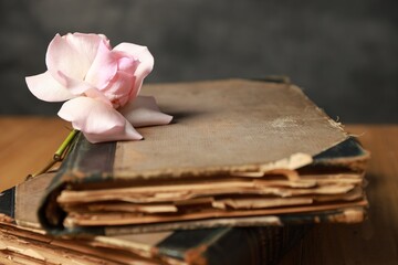 Books and beautiful flower on table, closeup