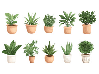 Obraz premium Collection of various houseplants displayed in ceramic pots isolated on transparent background.