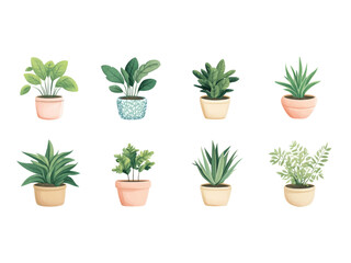 Collection of various houseplants displayed in ceramic pots isolated on transparent background.