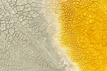 Cracked Multicolor Mud Texture with Yellow and Grey Tones