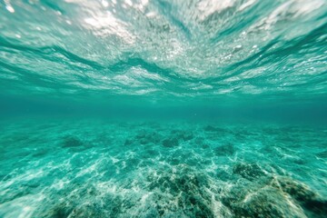 Obraz premium An underwater perspective highlighting the ocean floor with sunlight filtering through clear water and gentle waves creating a mesmerizing aquatic pattern above.