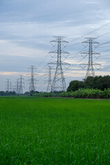 High voltage electrical pole structure or high voltage electric transmission tower with rice fields