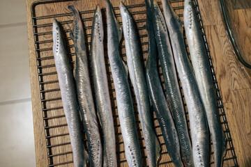 European river lamprey prepared for grill. Latvian national food