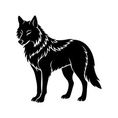 wolf silhouette, black and white silhouette, vector and illustration