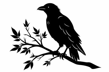 Fototapeta premium crow setting on a branch line art silhouette vector illustration