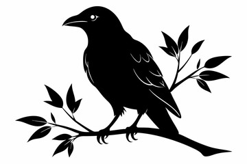 crow setting on a branch line art silhouette vector illustration