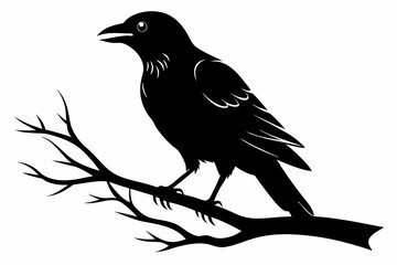 crow setting on a branch line art silhouette vector illustration