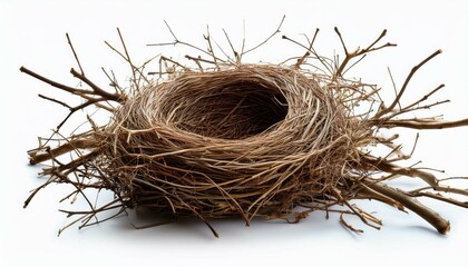nest without eggs