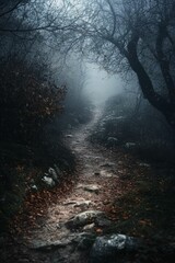 Obraz premium Misty path through leaf-strewn woods.
