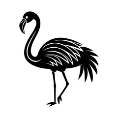 flamingo silhouette, black and white silhouette, vector and illustration