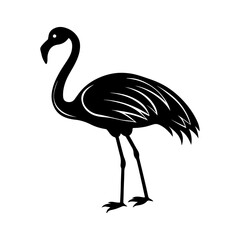 flamingo silhouette, black and white silhouette, vector and illustration