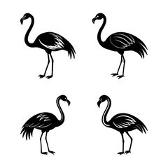 set of flamingo silhouette, black and white silhouette, vector and illustration