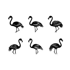 set of flamingo silhouette, black and white silhouette, vector and illustration