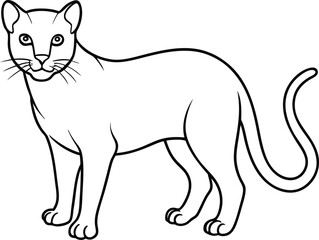 jaguarundi line art vector illustration 