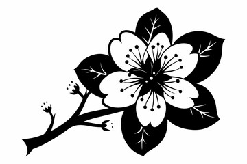 cherry blossom flower line art silhouette vector illustration