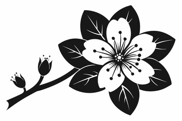 cherry blossom flower line art silhouette vector illustration