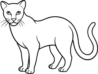 Jaguarundi Wildcat Vector Illustration in Line Art