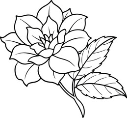 Floral Coloring Sketch Vector Illustration of a Flower
