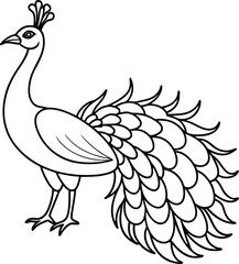 Elegant Peacock Design Vector Illustration