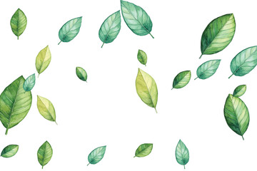 Naklejka premium green leaves isolated on white