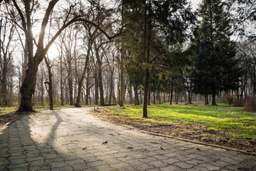 Fototapeta premium Alley in the park in springtime. Afternoon sunlight casts long shadows on the tiled walkway in a park.