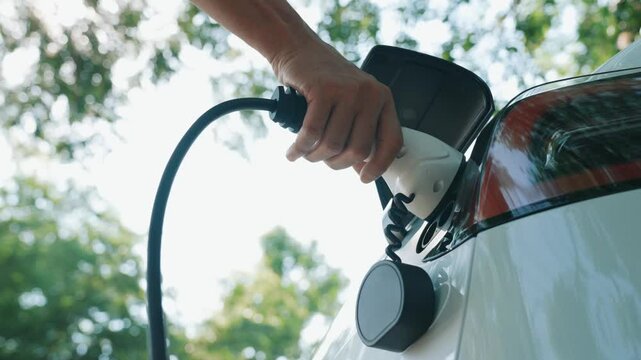 Slow motion man put EV charger to recharge electric car battery from charging station at outdoor green spring foliage during summer time. Sustainable energy for rechargeable electric vehicle Expedient