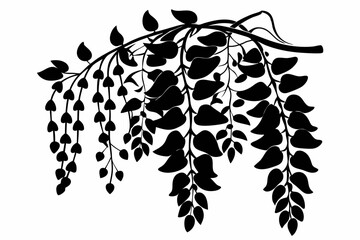 wisteria flowers line art silhouette vector illustration