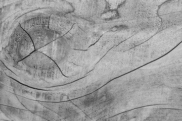 arrière plan planche de bois graphique et texturé pour usage graphique, support, cadre,...