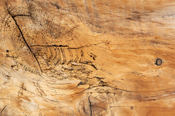 arrière plan planche de bois graphique et texturé pour usage graphique, support, cadre, conception graphique avec texture, png en transparence