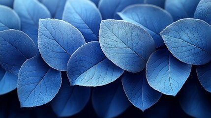 Obraz premium Blue floral abstract leaf design art high resolution hd image