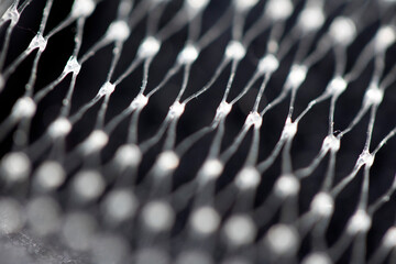 Obraz premium Small Netting Abstract Lattice Weave Mesh Background Plastic Packaging Close up