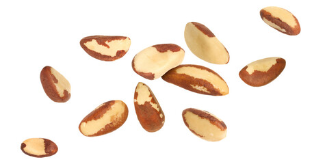 Many Brazil nuts in air on white background