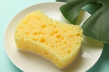 One sponge and plate on light blue background, closeup
