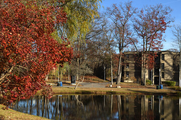 Obraz premium Stony Brook University (SBU), public research university in Stony Brook, New York area, United States, on Long Island. Picturesque autumn landscape with pond