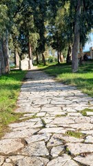 Stone-paved path surrounded by green grass, trees, and a building in sunny weather