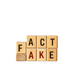Fact vs. Fake - Wooden Blocks