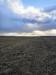 plowed field and sky. A stormy day with torrential rain. Rainy day.