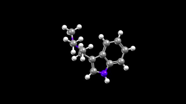 Structure of N,N-Dimethyltryptamine. Animated 3D ball-and-stick and space-filled models, black background
