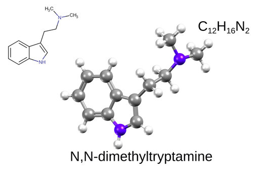 Chemical formula, structural formula and 3D ball-and-stick model of N,N-Dimethyltryptamine