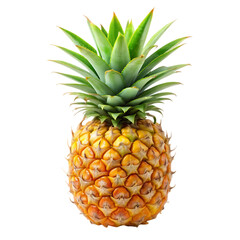 pineapple isolated on white