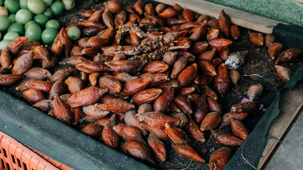 A vibrant and colorful display of fresh Snake fruits salak at a local market surrounded by a variety of produce