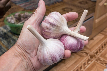 Three large bulbs of garlic in a mans hand