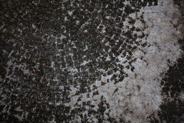 Ancient Stone Wall with Lichens Texture