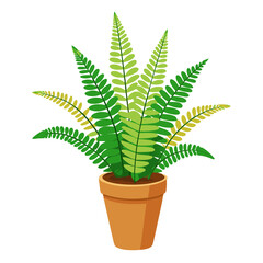 Potted Boston fern plant showcasing lush green fronds on a clean white background for brightening any indoor space