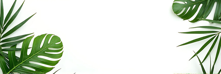 Elegant tropical leaves on a clean white background evoke feelings of nature and serenity in the midst of a vibrant summer scene._00001_