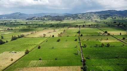 Campo Abierto, Agricultura