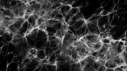 Obraz premium Intricate Black and White Web Design Elements: A Stunning Abstract Pattern